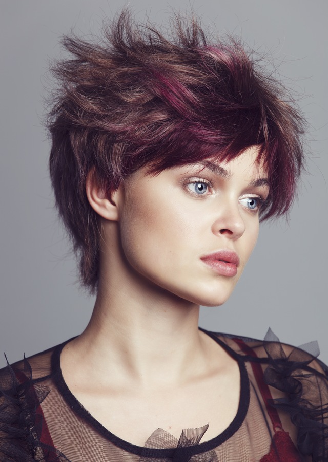 Ilse de jager