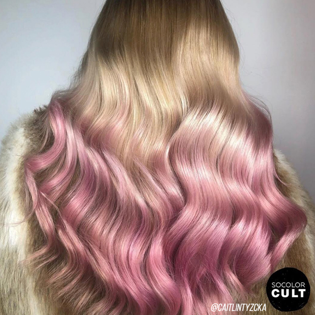 Re sized cc28e3fdac44b3eb1f62 so color cult matrix