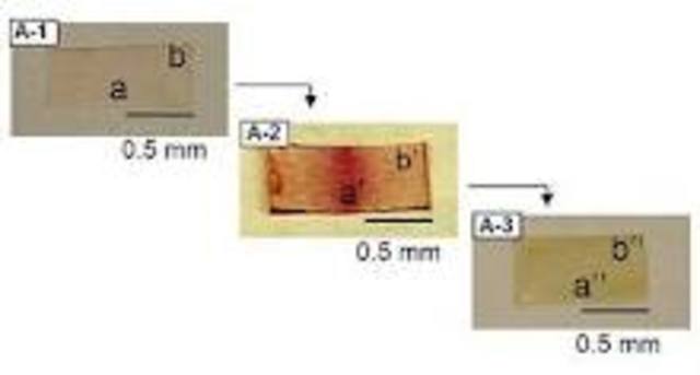 Self-healing plastic
