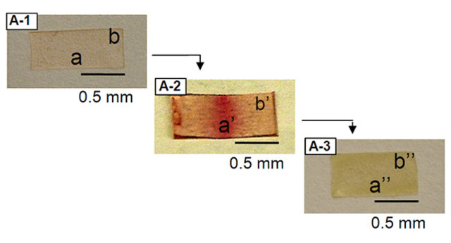 Self-healing plastic