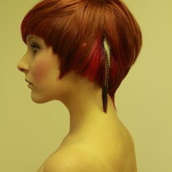 Re sized cce81e9dc5848916f14d  mg 3422