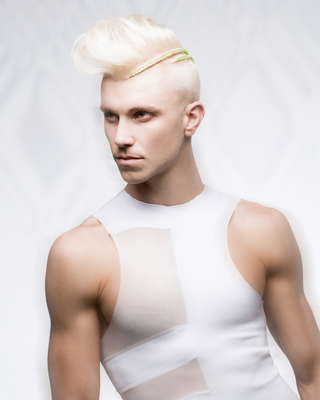 2017 NAHA Master Stylist of the Year Finalist 