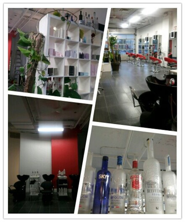 VODKA SALON