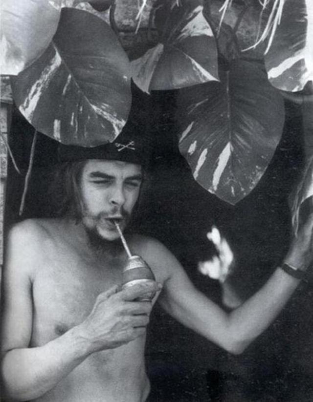 Che