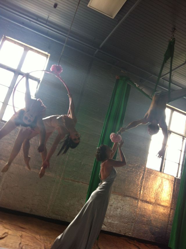 circus shoot
