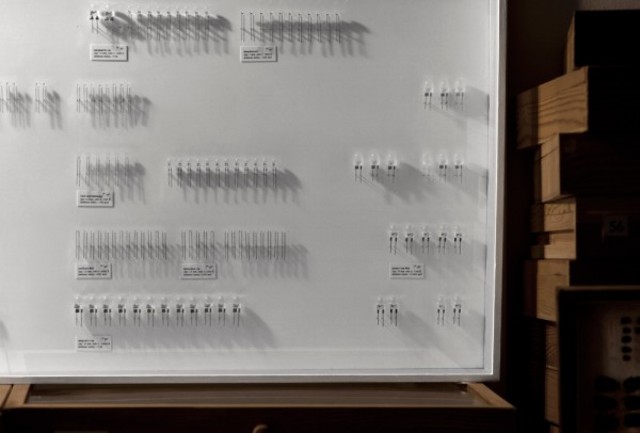 collection-of-light-humansince1982-2-600x406