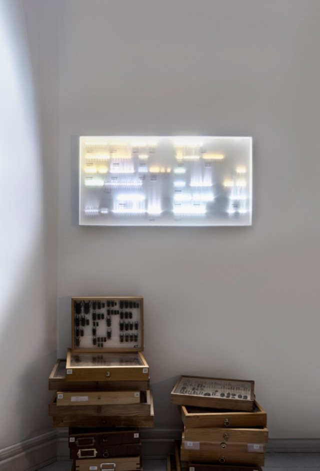 collection-of-light-humansince1982-3-600x882