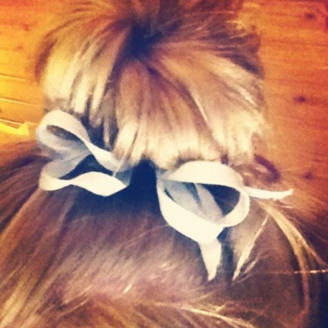 cool bun with bow
