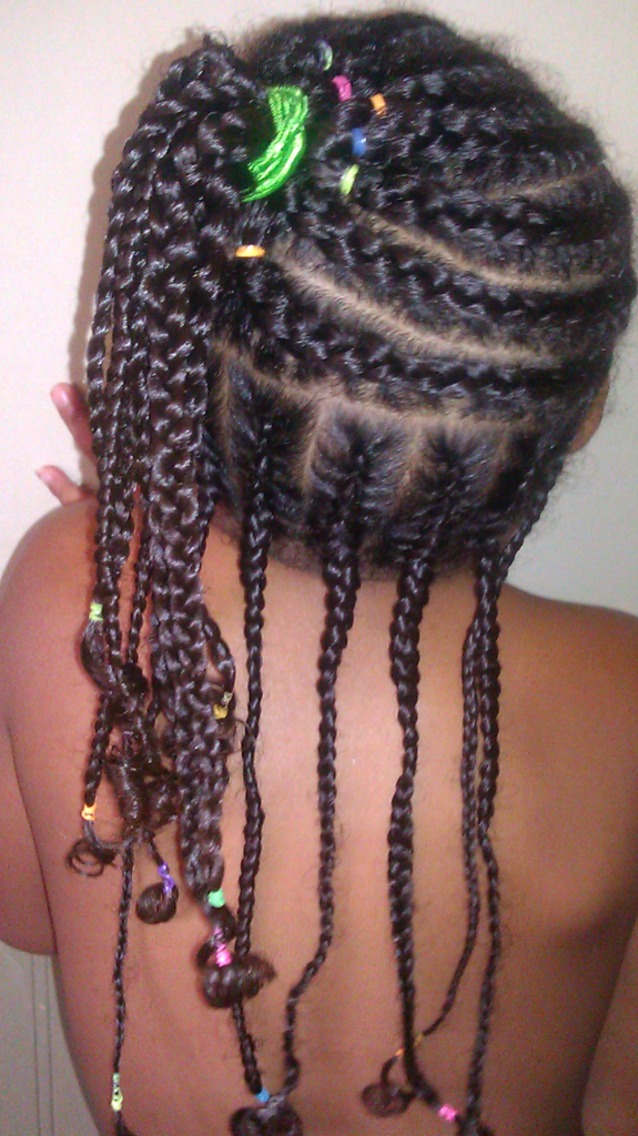 corn rows