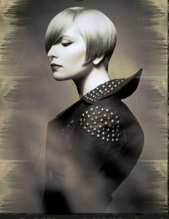 cover of salon international 