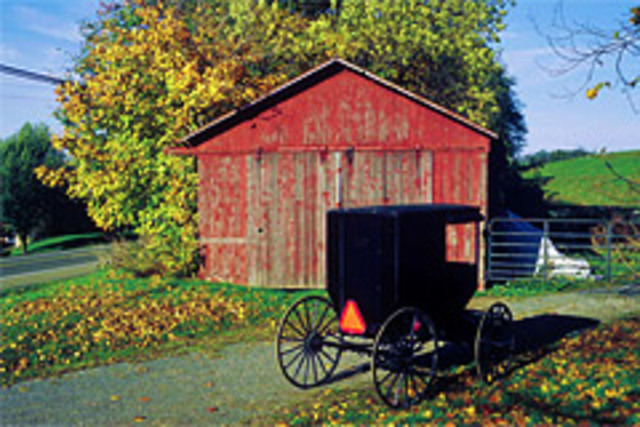 cr_amish_oh