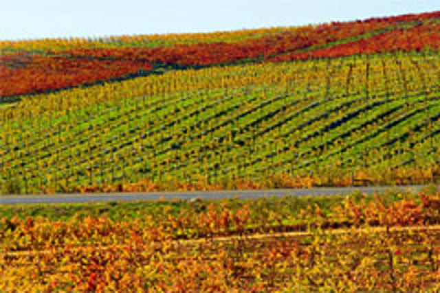 cr_napa_ca