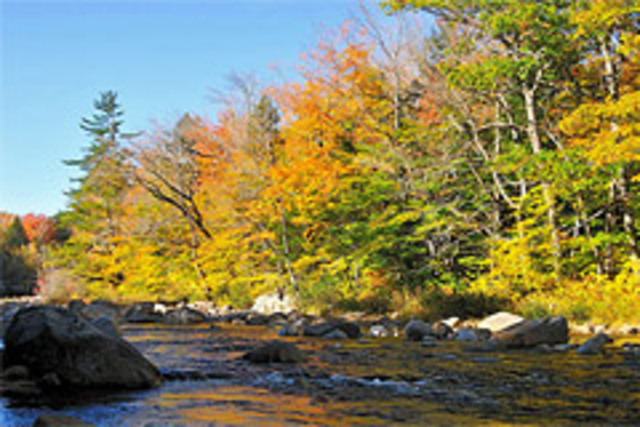 cr_whitemountain_nh