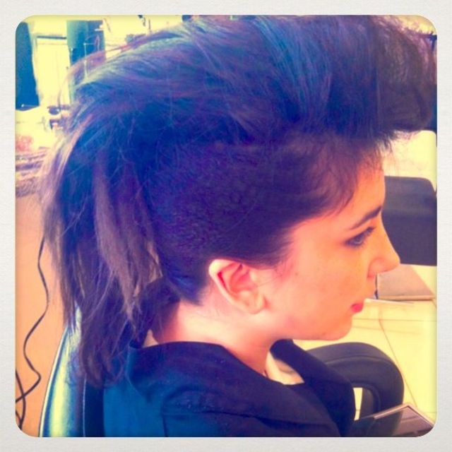 crimped hawk