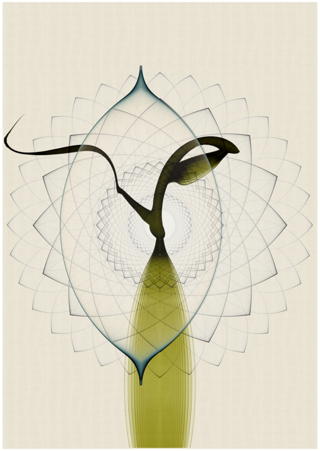 cristian-boian-digital-art-5