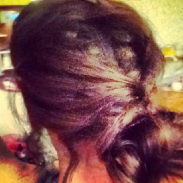 cute bun