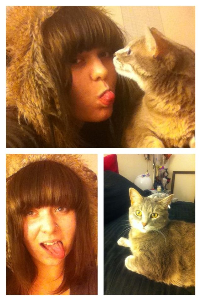 cute hair//kitties