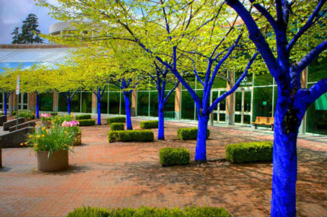 blue-trees-2