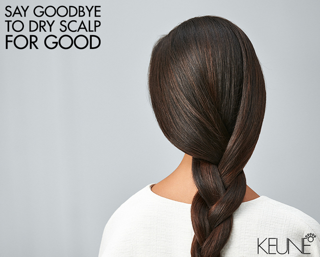 Re sized d187f175424649a2c965 dry scalp