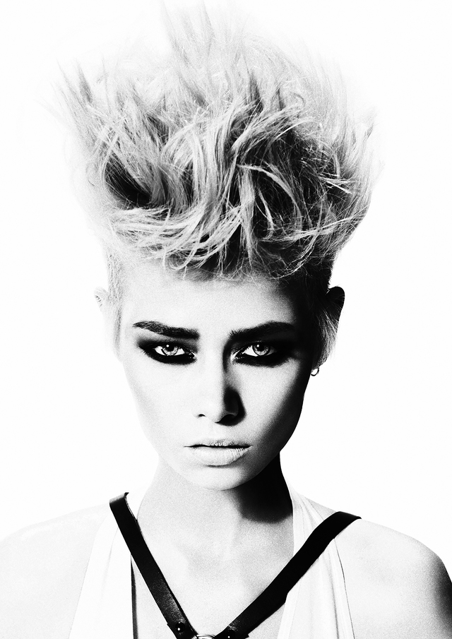 2017 NAHA Salon Team of the Year Finalist 