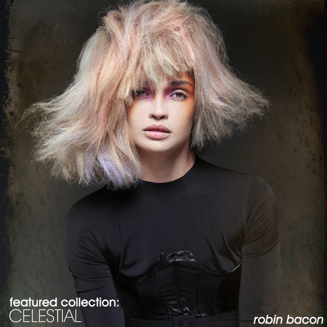 Re sized d27c2b144c4d9fcbf223 robin bacon collection