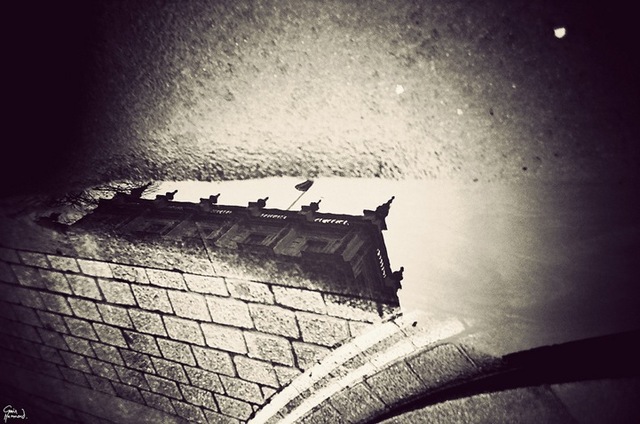 gavinhammondlondoninpuddles1