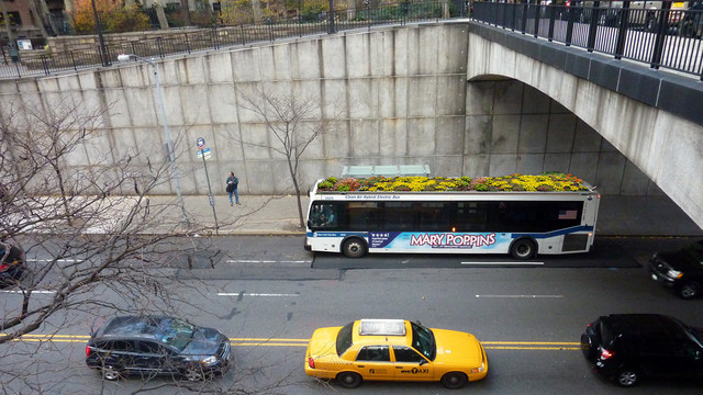 1280-bus-roots