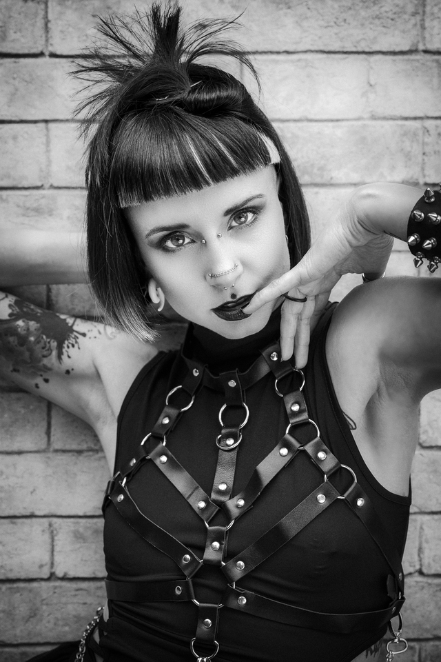 Gothic Punk Collection