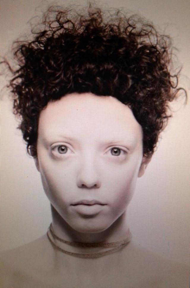 Lisa Vann Texture