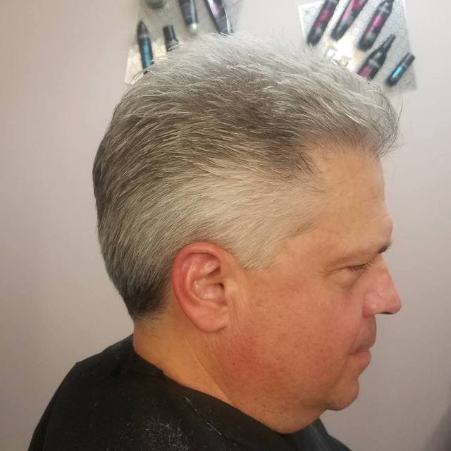 silver fox