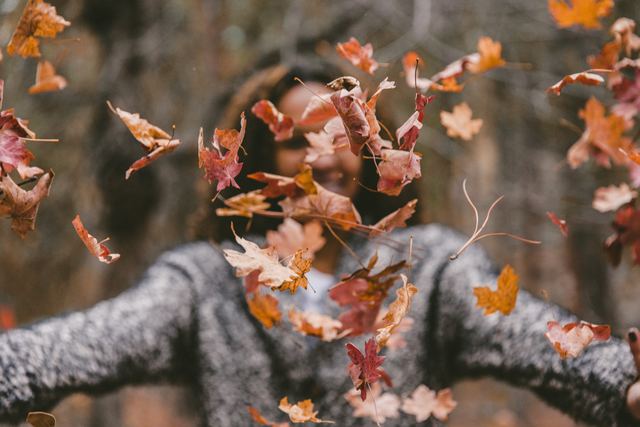 Re sized d7539759bf5e90ead75f jakob owens 172511 unsplash