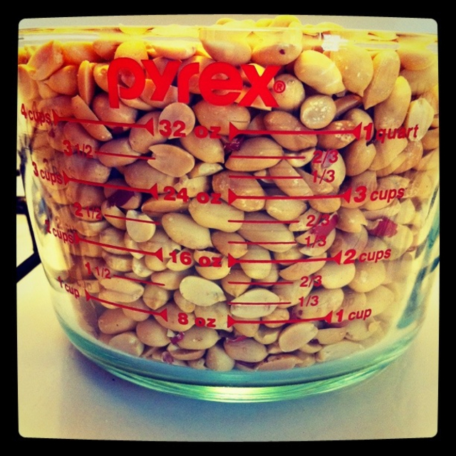 Pyrex