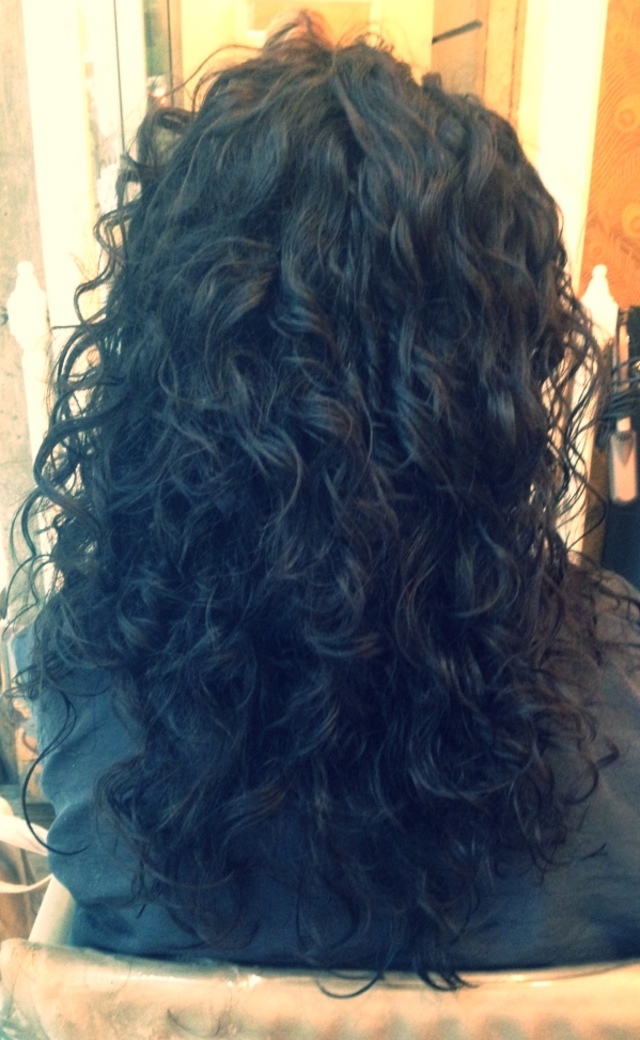 Marissa Lauren Schmitt