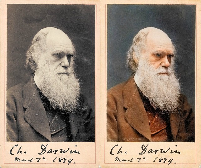 darwin