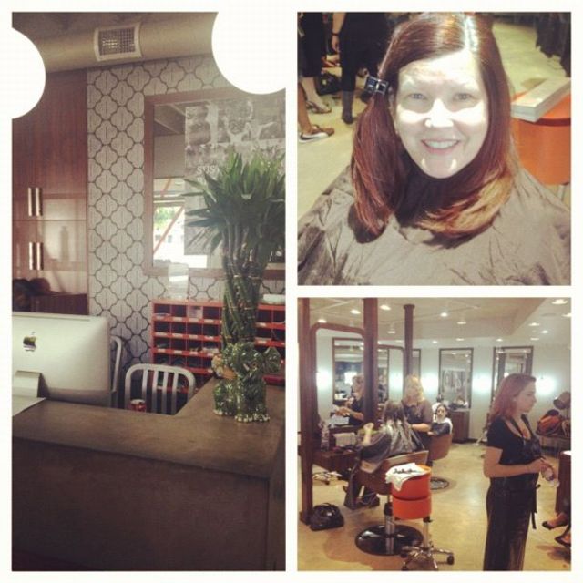 davines training class