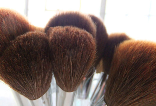 makeupbrushes3