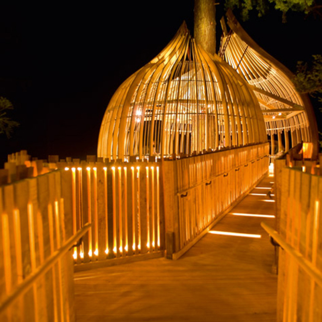 yellow-tree-house05