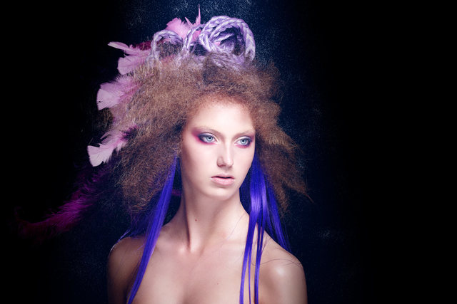 Feathers 
