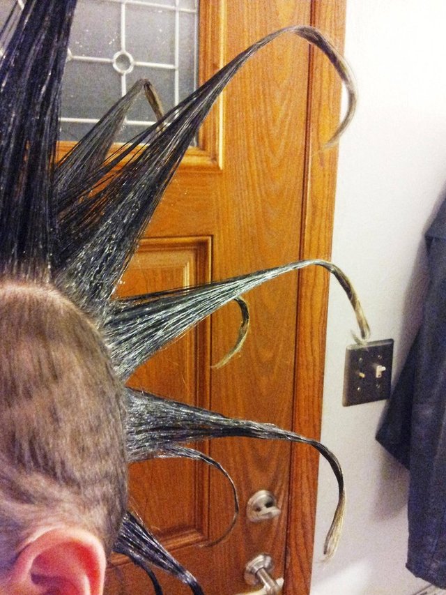 Bi-hookhawk side (closeup)