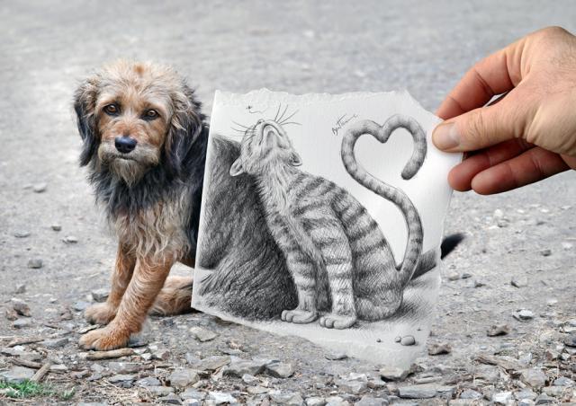 dogcat