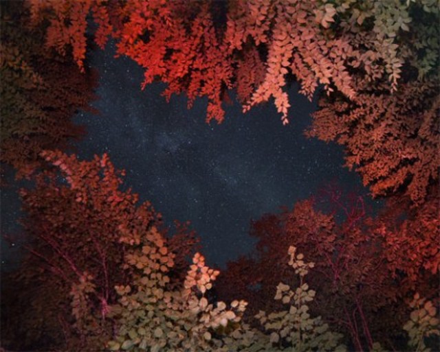 Benoit-Paille