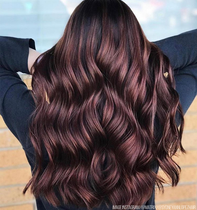 Re sized e198b90447613c4b173d brunette hair trends