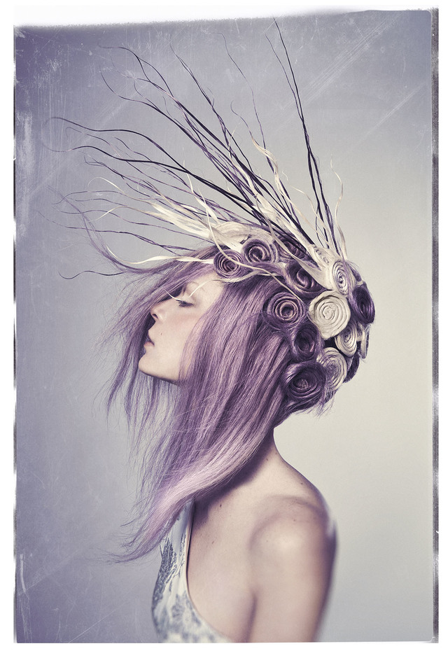 Enchantment Collection