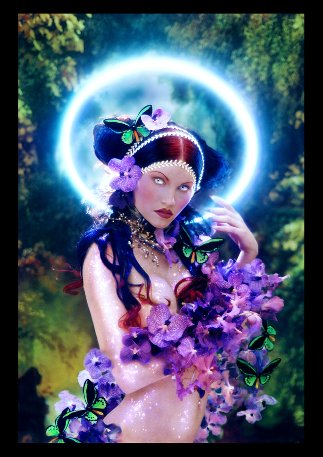 AVANT GARDE COLLECTION 