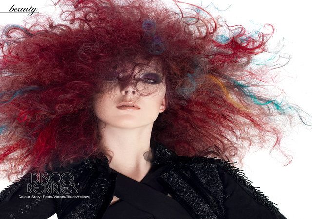 2017 NAHA Editorial Stylist of the Year Finalist 