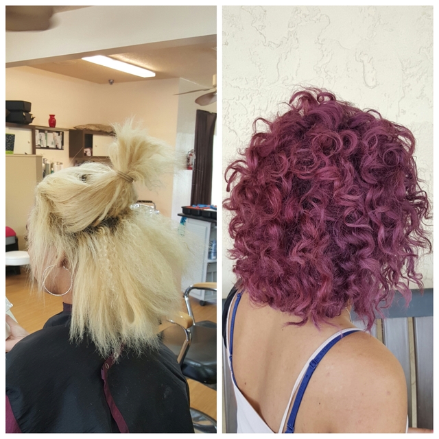 Colorphlex 