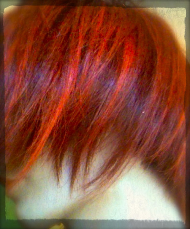 Redality Bob 