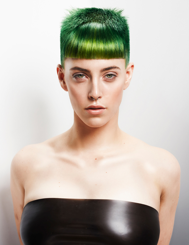 2017 NAHA Newcomber of the Year Finalist 