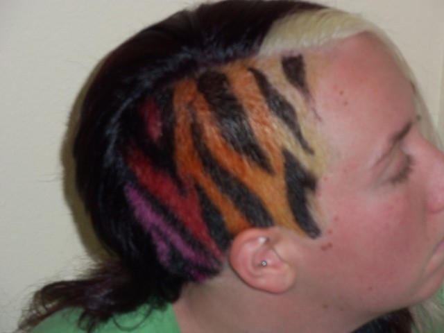 Summer Colored Zebra