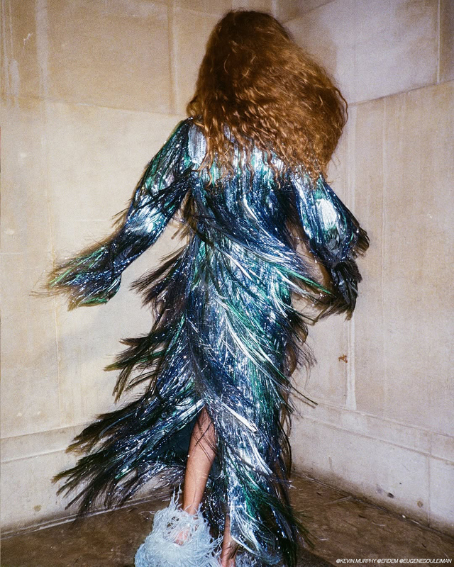 Re sized e9604a293604bd6eb0f5 erdem